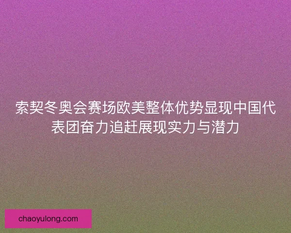 索契冬奥会赛场欧美整体优势显现中国代表团奋力追赶展现实力与潜力